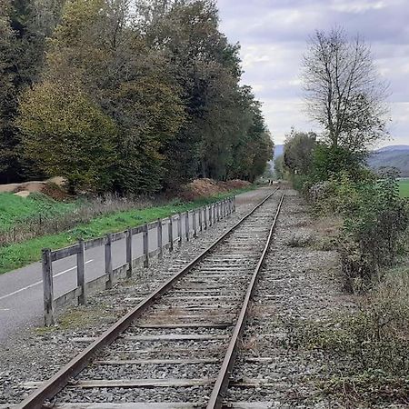 A L'Oree Du Bois "Les Hetres" Guewenheim المظهر الخارجي الصورة